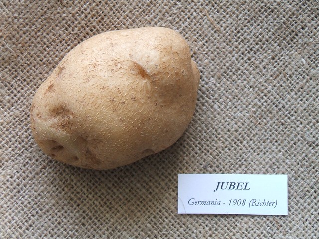 jubel.jpg