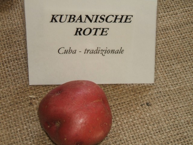 kubanischerote.jpg