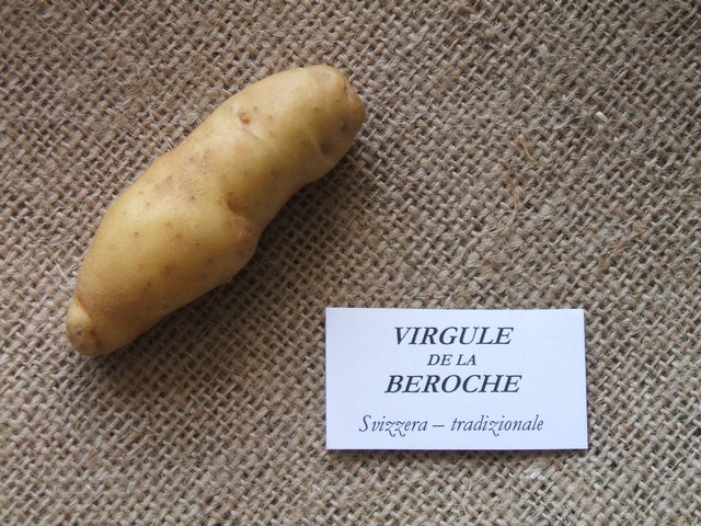 virguleberoche.jpg